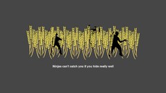 Ninjas cant catch you