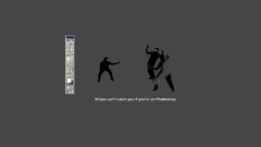 Ninjas cant catch you