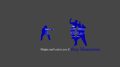 Ninjas cant catch you