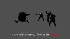Ninjas cant catch you