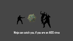 Ninjas cant catch you