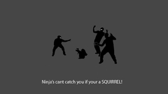 Ninjas cant catch You