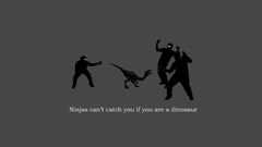 Ninjas Dinosaurs ninjas cant