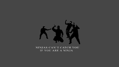 Ninjas ninjas cant catch