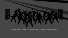 Ninjas ninjas cant catch
