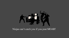 Ninjas ninjas cant catch
