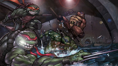 Ninjas Teenage Mutant Ninja