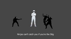 Ninjas the stig ninjas cant catch you if