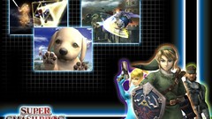 Nintendo link super smash