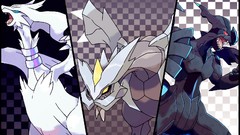 Nintendo Pokemon artwork video games Zekrom Reshiram Pokemon 