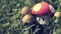 Nintendo Super Mario mushrooms