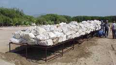 No trifecta Cocaine so