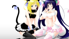 No yoichi nekomimi best