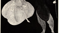 Nocturne of Chopin high