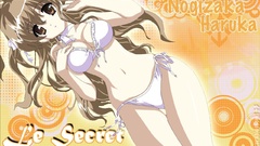 Nogizaka haruka no himitsu