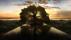 Noko hoorah says The