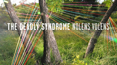 Nolensvolens Favorite Music go