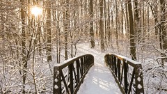 North Parks woods maryland