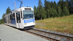 Norway trondheim wolf pack hikke