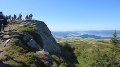 Norway trondheim wolf pack hikke