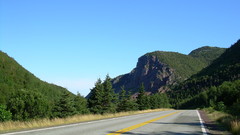 Novascotia oc bitches high