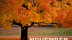 November