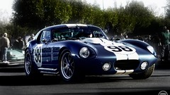 Number Racing Stripes shelby cobra blue cars