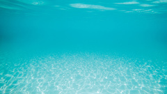 Ocean by high nature