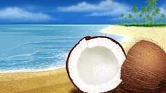Ocean coconut Beaches