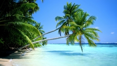 Ocean Landscapes nature tropical