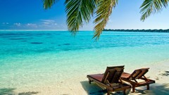Ocean Maldives Beaches indian palm leaves