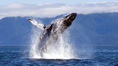 Ocean nature national geographic