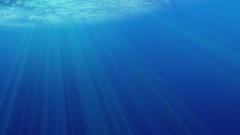 Ocean underwater