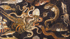 Octopuses underwater