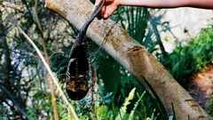 Oddfish high Aquarium and