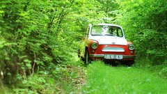 Offroad forests ZAZ ukrainian classic cars old cars