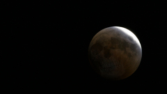 Ol oc skullmoon some