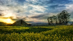 Old barn California Trey Ratcliff
