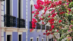 Old multicolor puerto rico