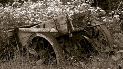 Old Wagon
