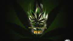 Old weed sigh same pics