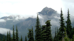 Olympic peninsula Washington City