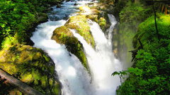 Olympic waterfalls National Park