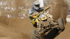 One Car The breaker Lawson quad ombo carman