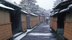 One Favorite walls newest