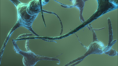 One here neurons but saved none yet