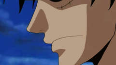 One Piece (anime) monkey