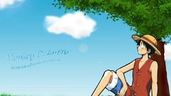 One Piece (anime) monkey