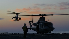 Oops! Venom Viper that sorry missed