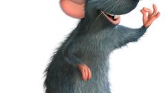 Operation Ratatouille find her